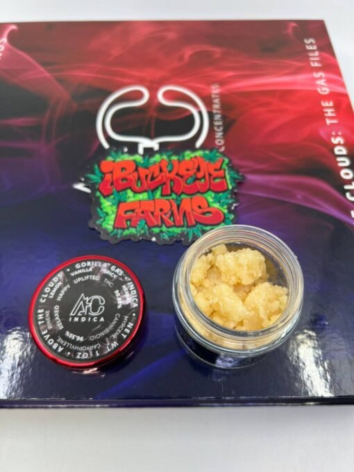 above the clouds live resin