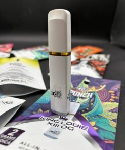 PUNCH 2G DISPOSABLE